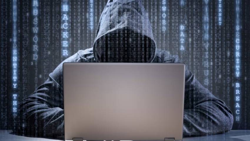 抚顺小程序开发公司：构建企业数字化转型的坚实基石